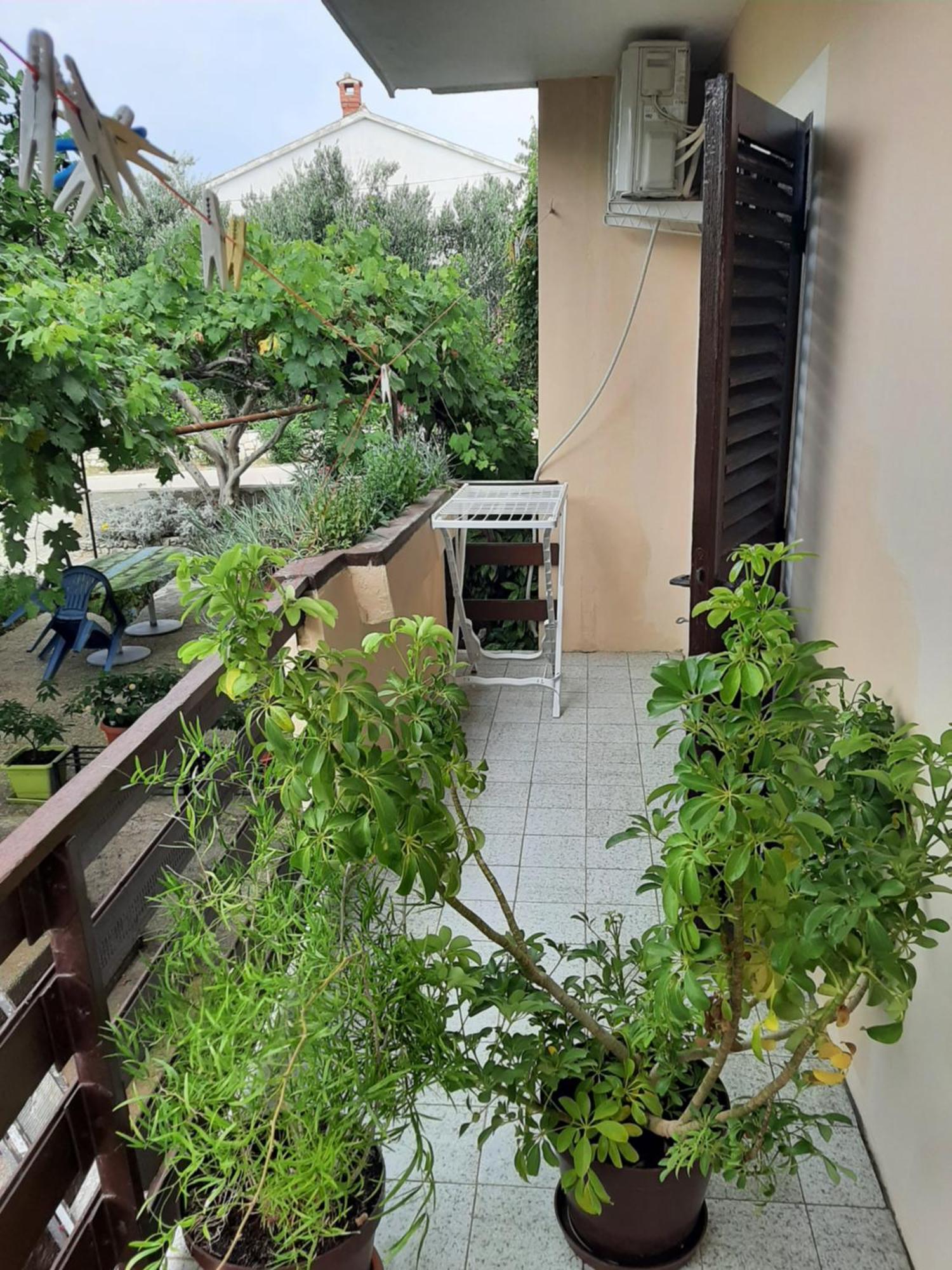 Apartmani Marija Povljana Bilik gambar