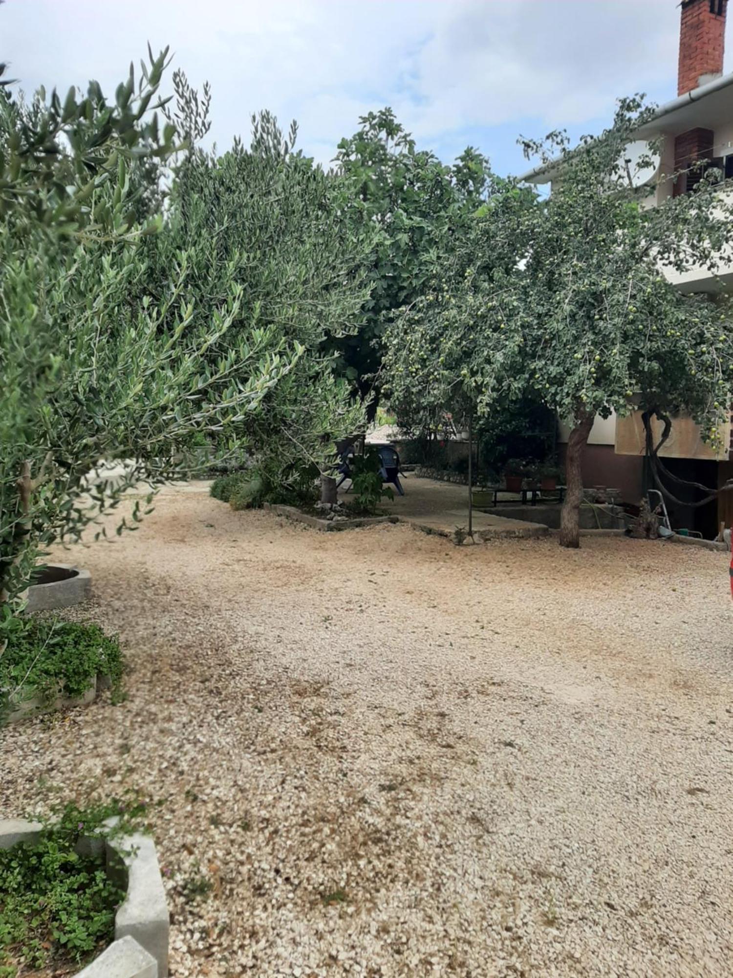 Apartmani Marija Povljana Bilik gambar