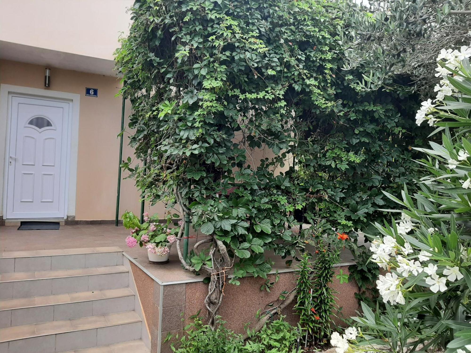 Apartmani Marija Povljana Bilik gambar