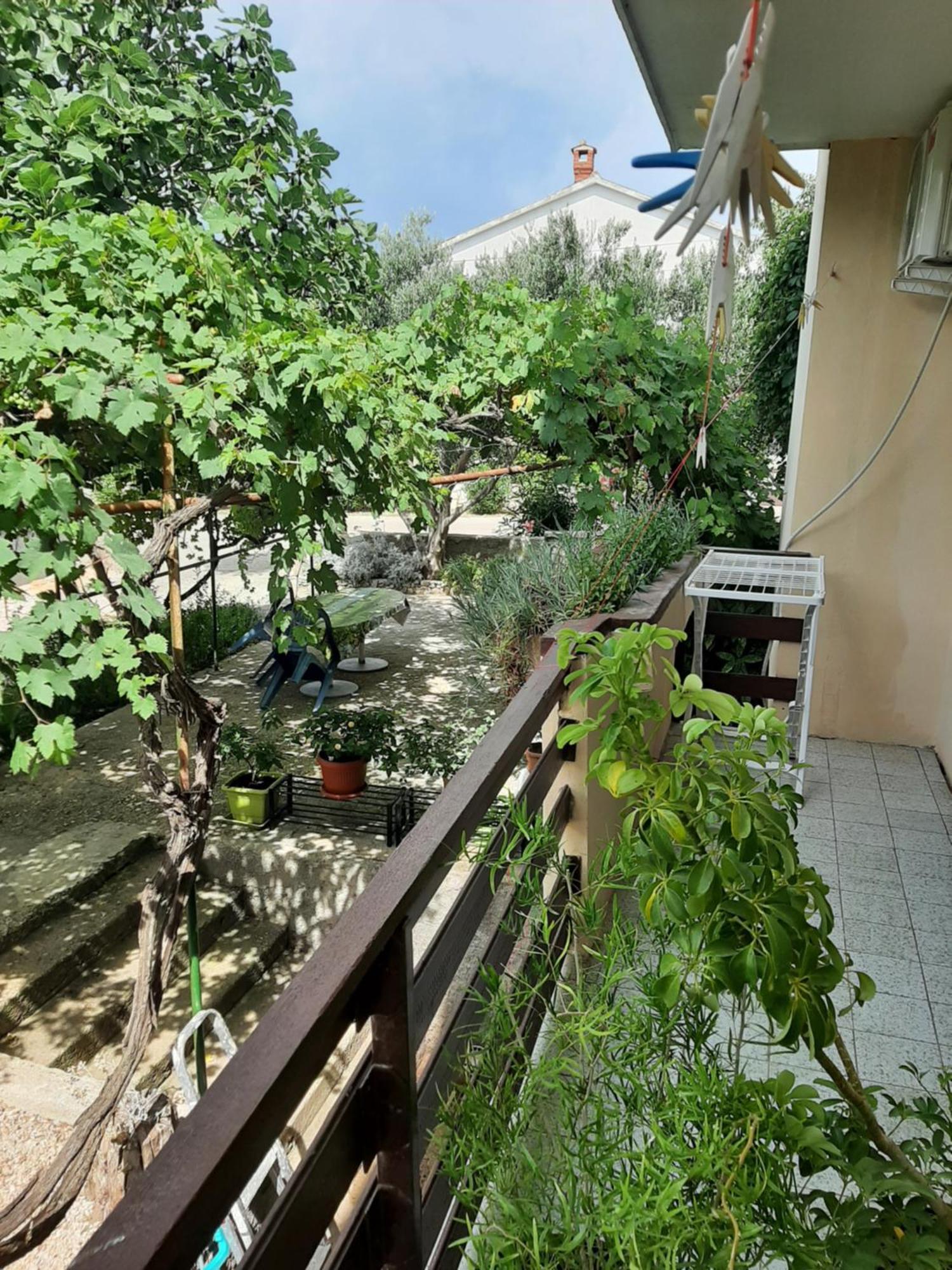 Apartmani Marija Povljana Bilik gambar