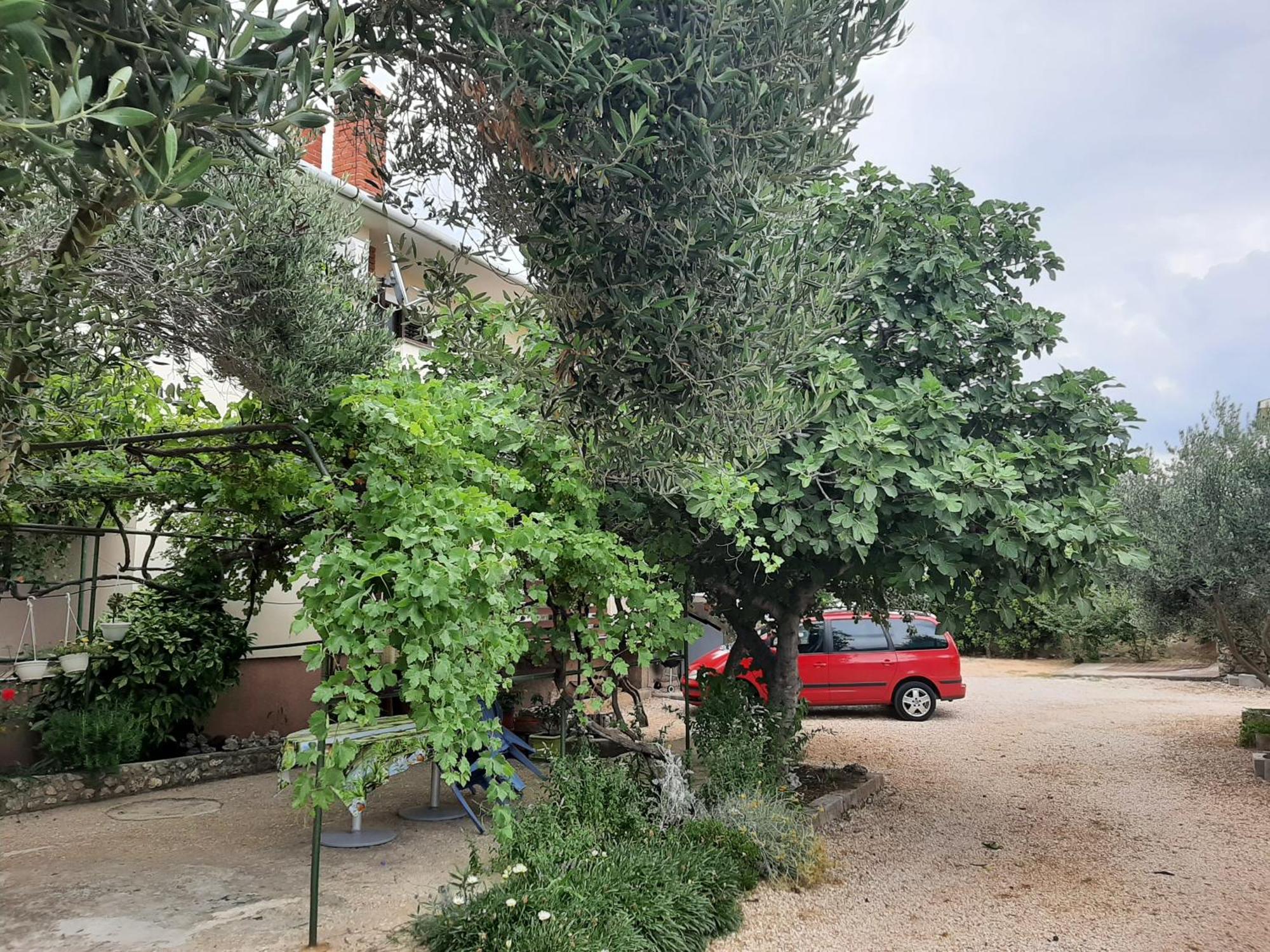 Apartmani Marija Povljana Bilik gambar