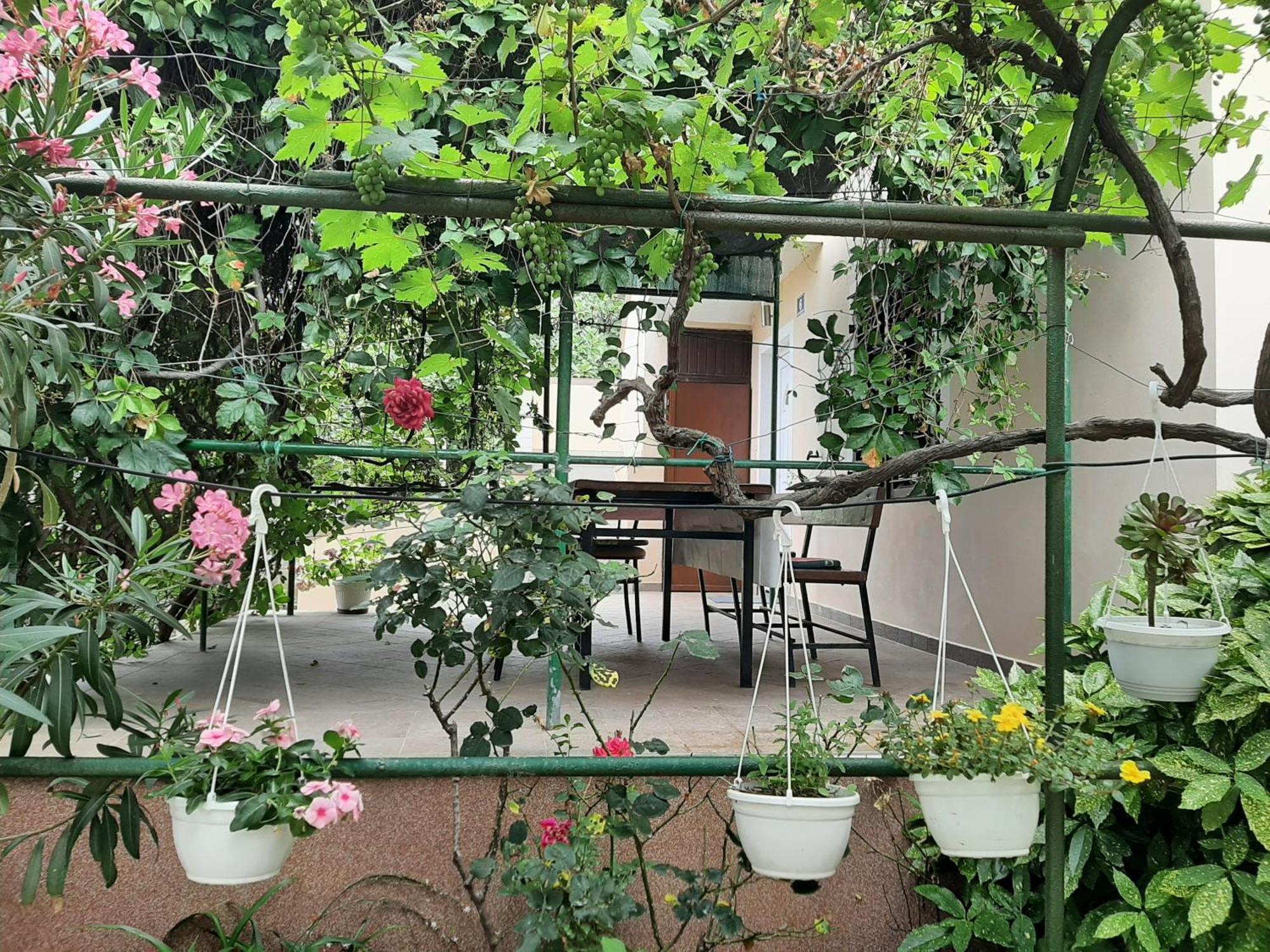 Apartmani Marija Povljana Bilik gambar