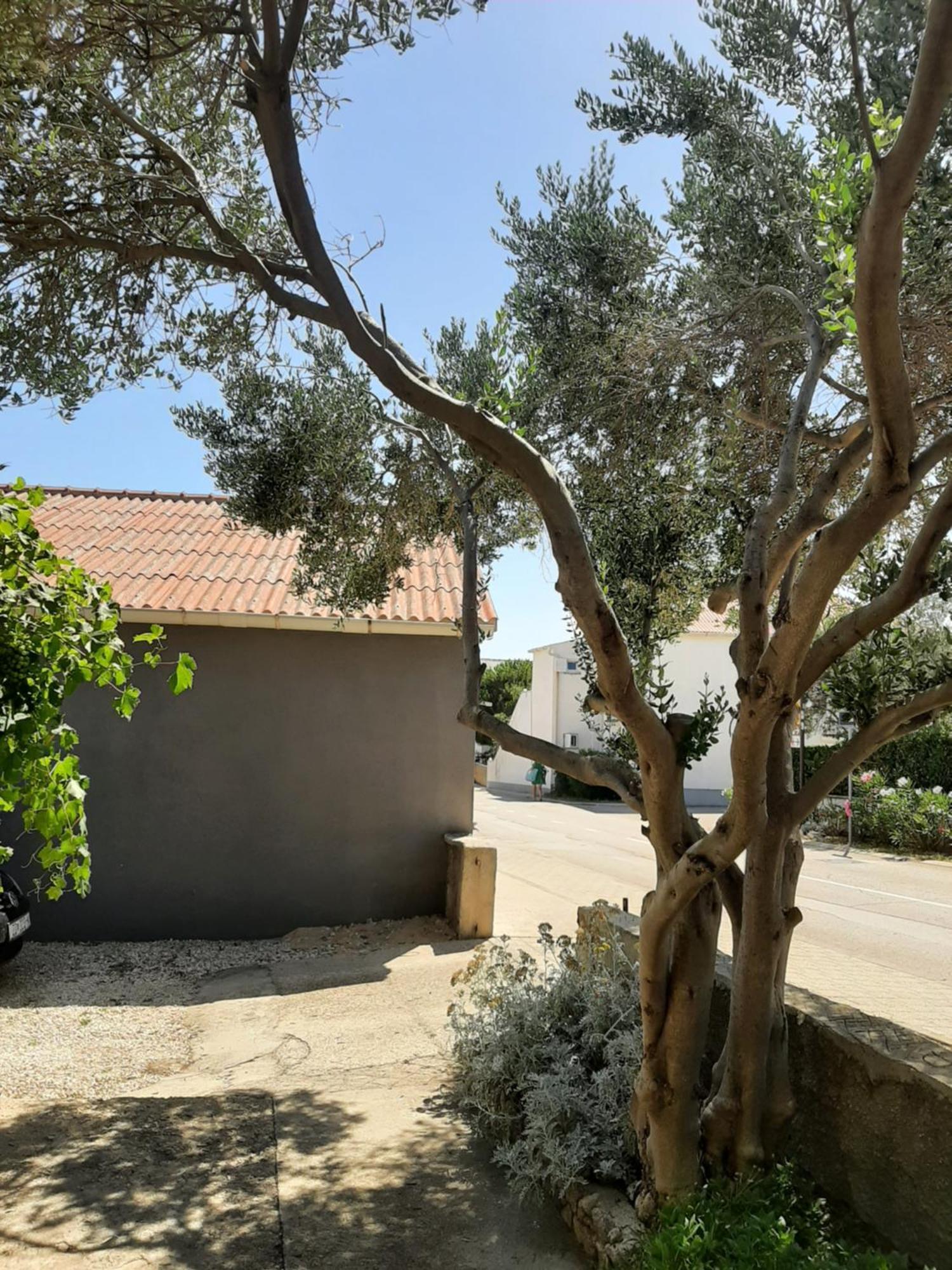 Apartmani Marija Povljana Bilik gambar