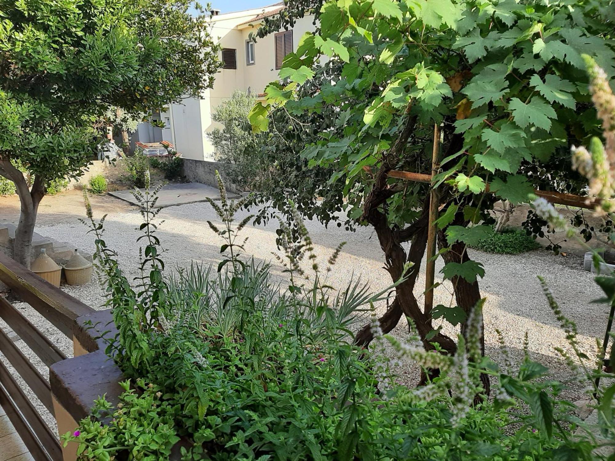 Apartmani Marija Povljana Bilik gambar