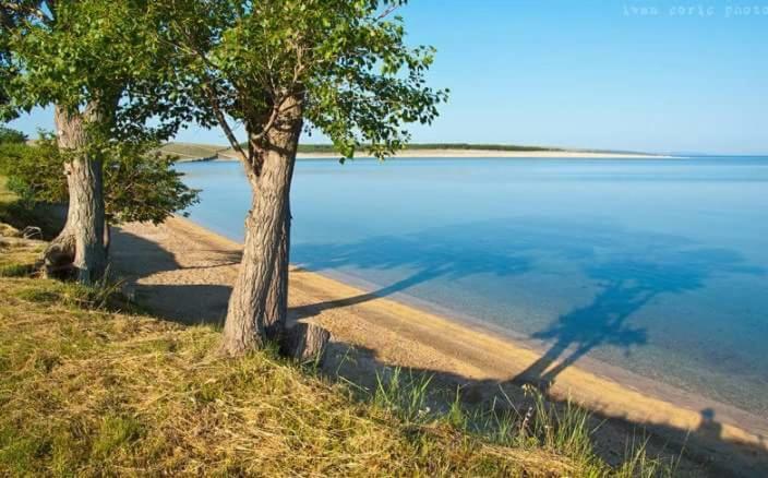 Apartmani Marija Povljana Luaran gambar