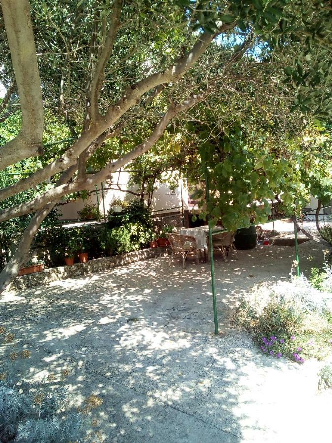 Apartmani Marija Povljana Luaran gambar