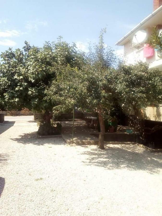 Apartmani Marija Povljana Luaran gambar