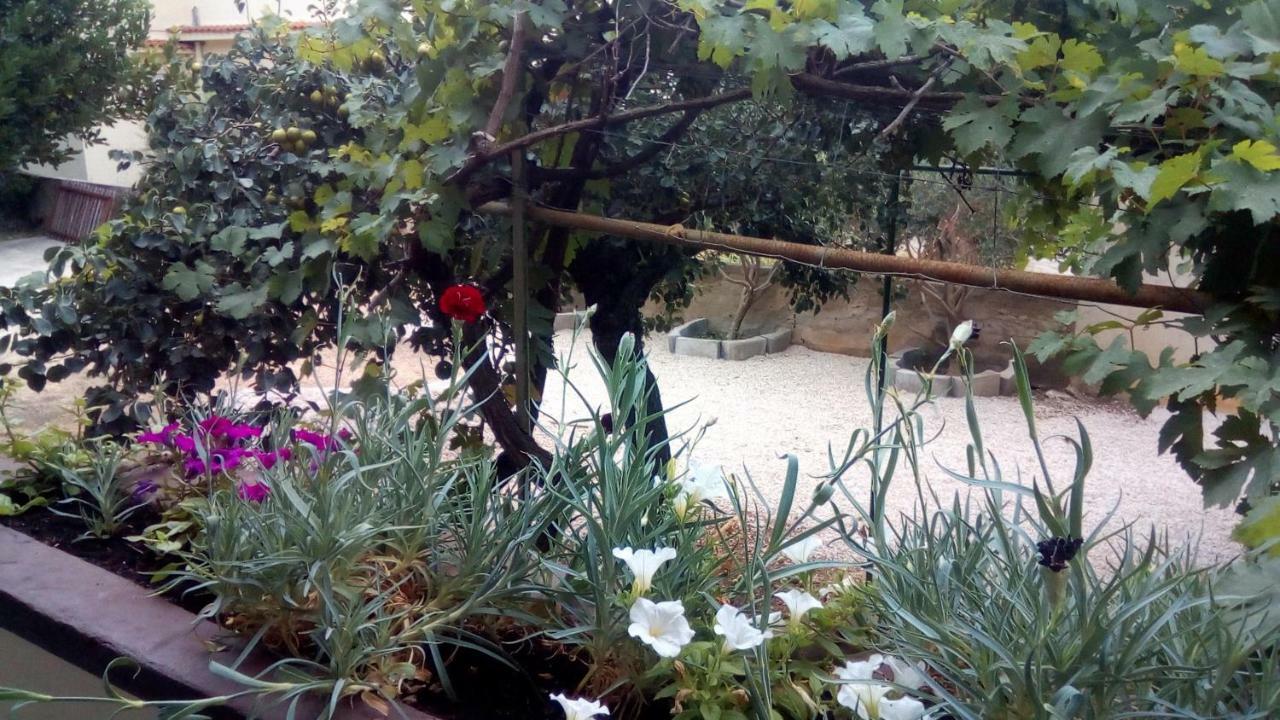 Apartmani Marija Povljana Luaran gambar